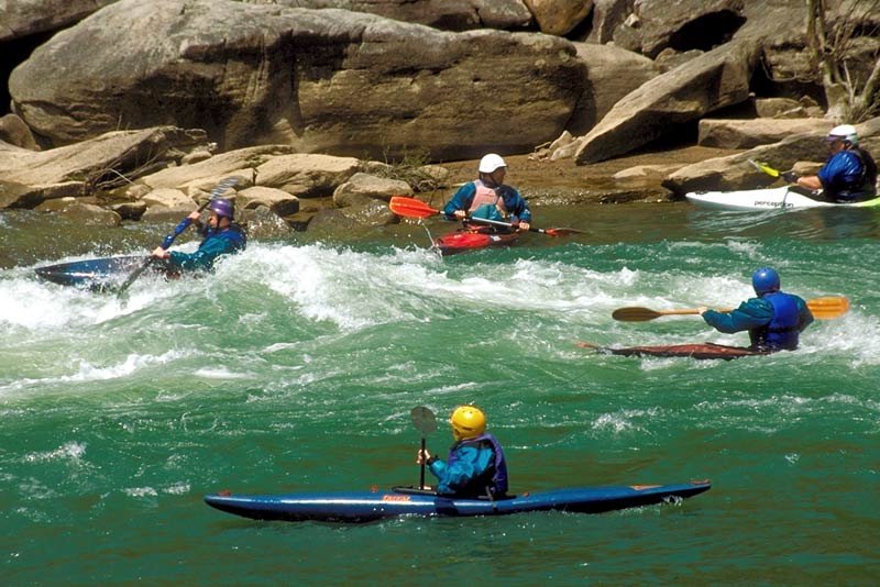 Kayaking Adventures on the Brisbane River The Summit Apartments Blog