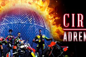 Cirque Adrenaline Cirque Adrenaline