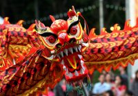 Chinese New Year in Brisbane Chinese New Year in Brisbane